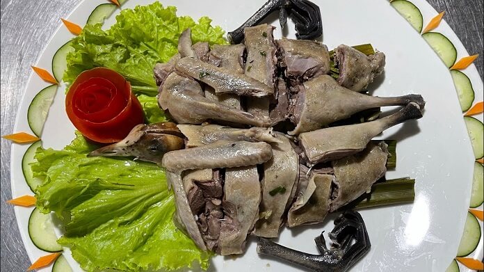Chim Sâm Cầm là gì? Sống ở đâu? Ăn gì? Làm món gì ngon?