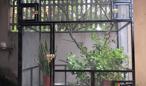 Top 10 mẫu chuồng Avi đẹp và được yêu thích nhất