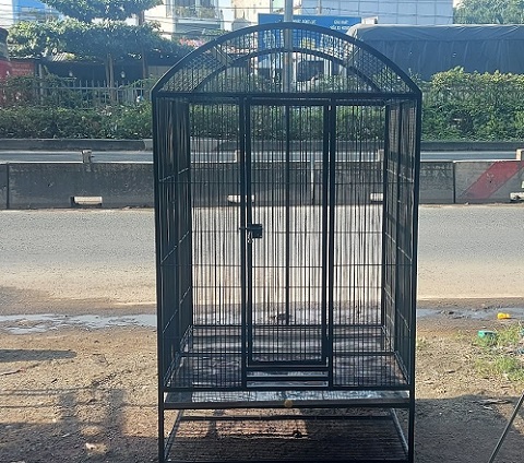 Top 10 mẫu chuồng Avi đẹp và được yêu thích nhất