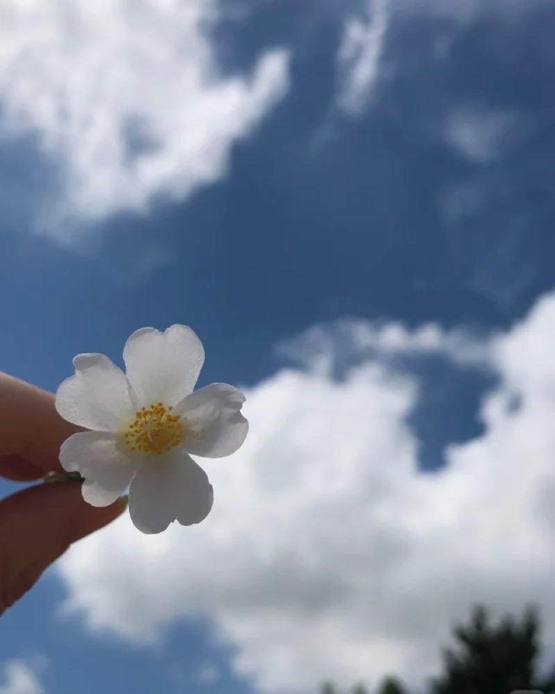 ảnh bầu trời 14