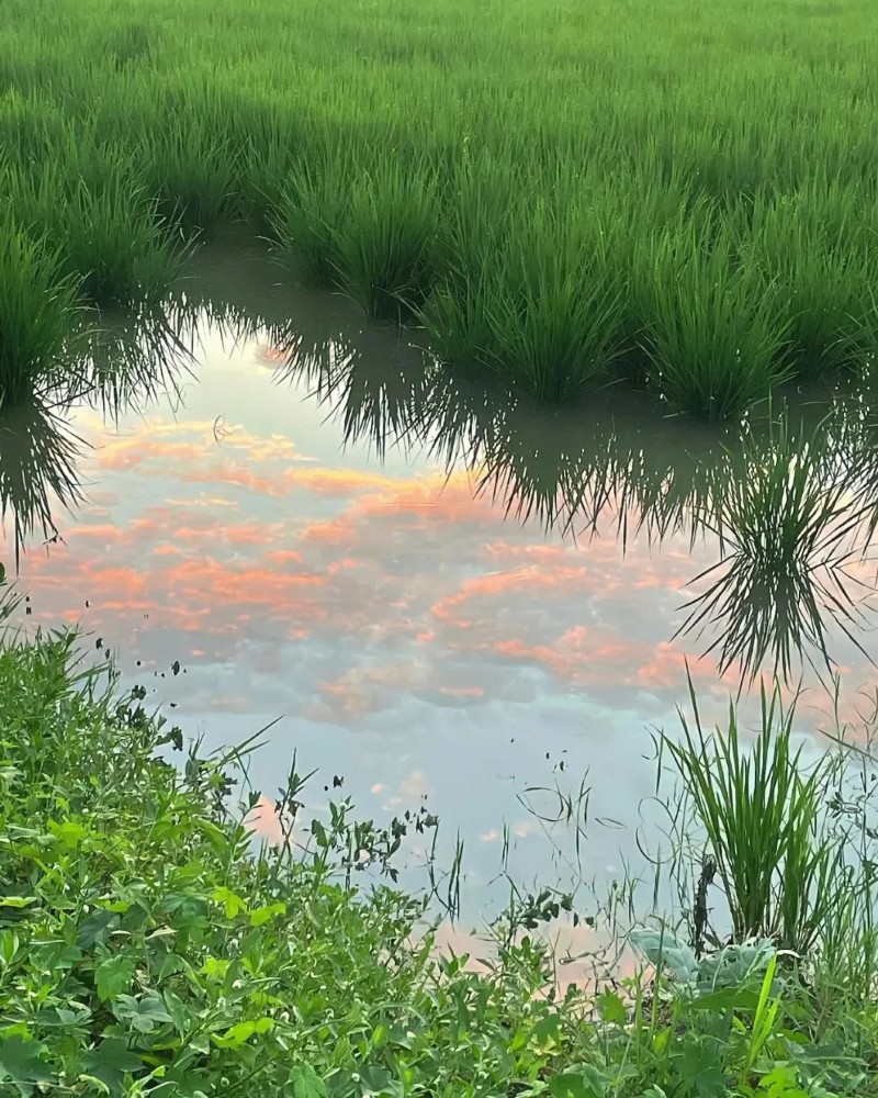 ảnh bầu trời hoàng hôn buồn