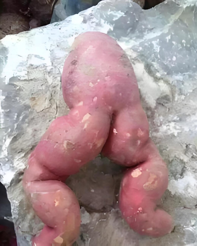 ảnh buồn cười 10