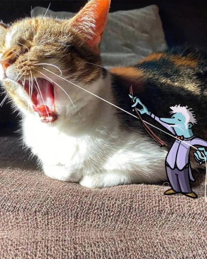 ảnh buồn cười 16