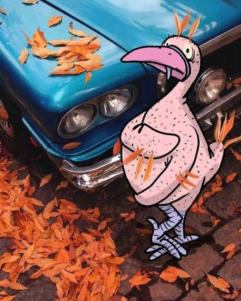 ảnh buồn cười 17