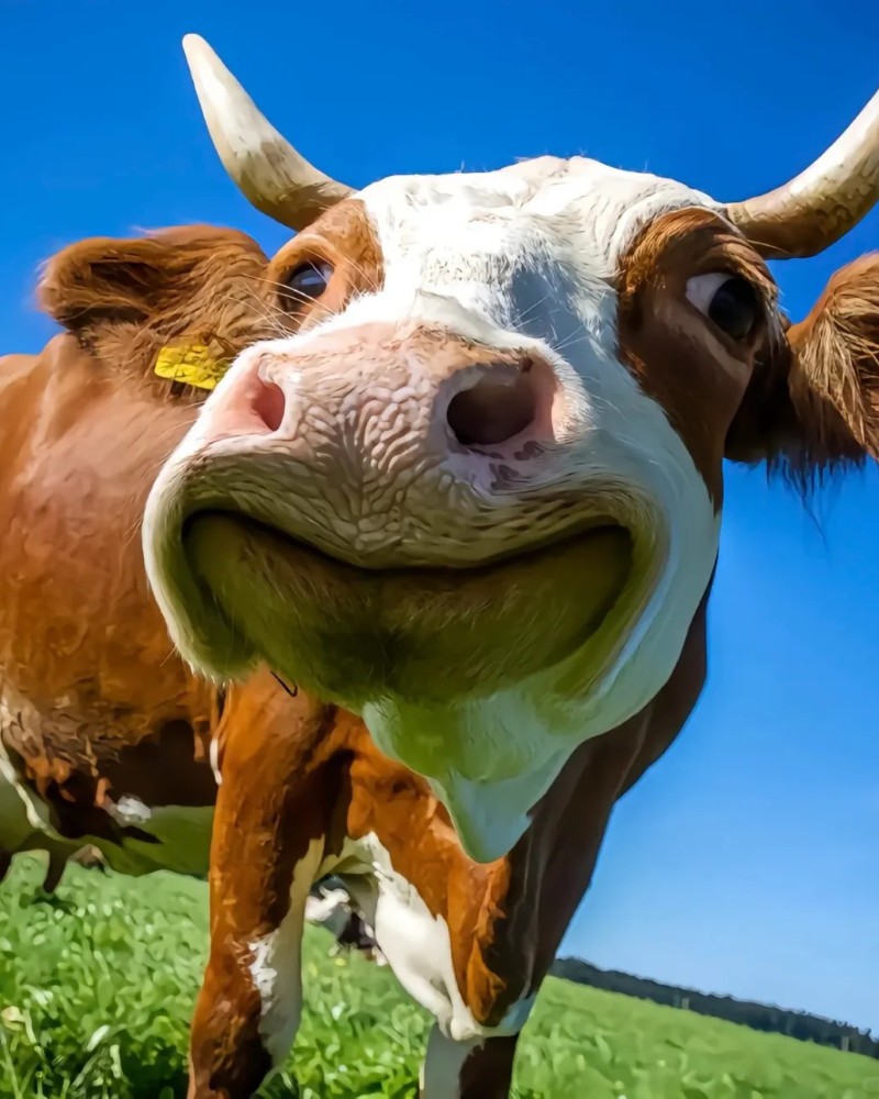 ảnh buồn cười 26