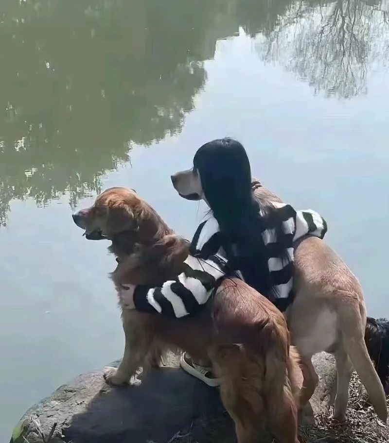 ảnh buồn cười 27