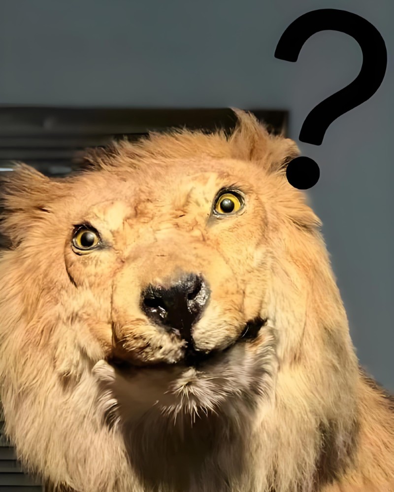 ảnh buồn cười 7