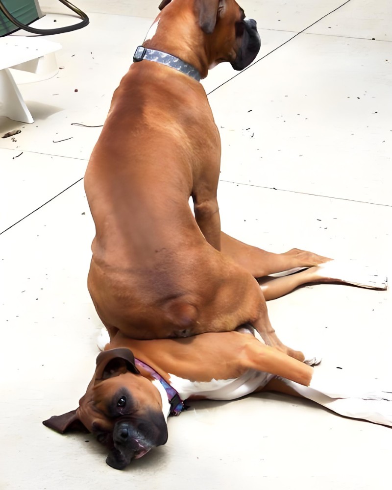 ảnh buồn cười 9