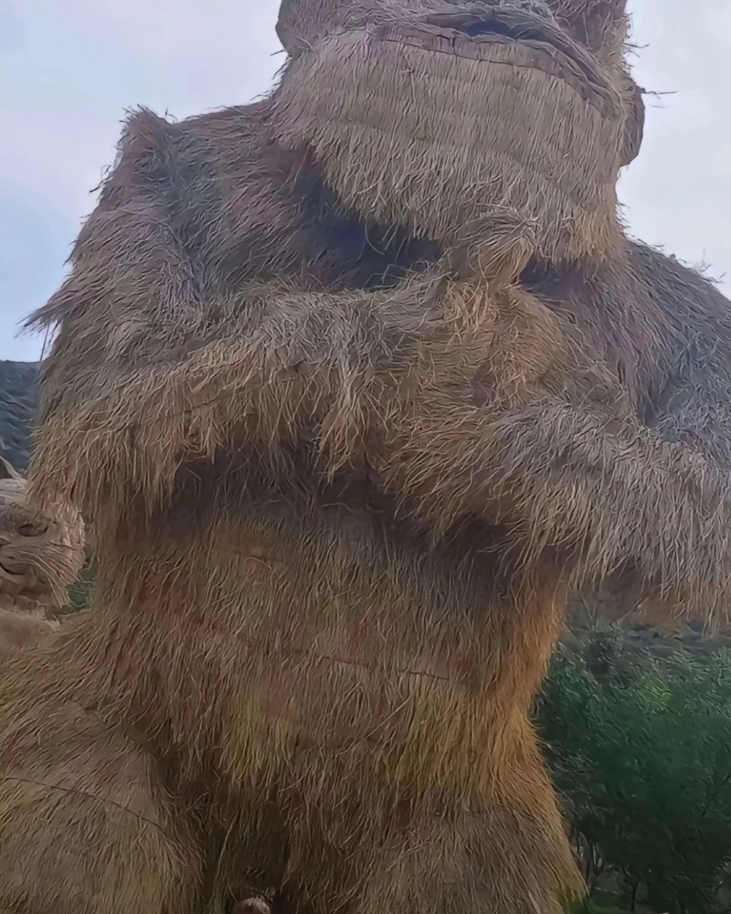 ảnh buồn cười nhất thế giới