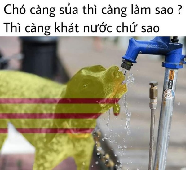ảnh cali 10