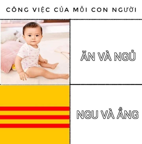 ảnh cali 24