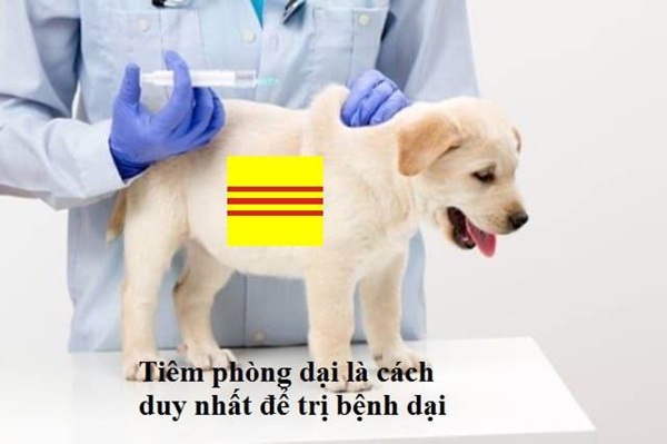 ảnh cali 30