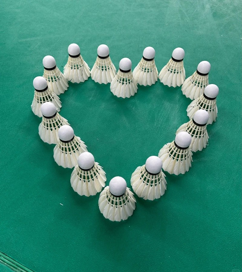 ảnh cầu lông 9