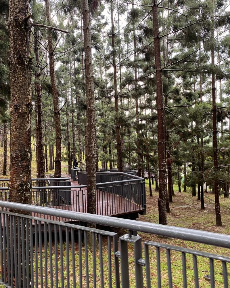 ảnh chill phong cảnh đẹp
