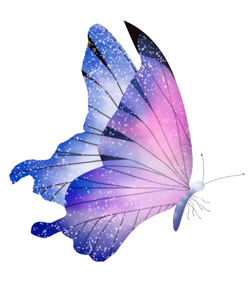 ảnh con bướm 21