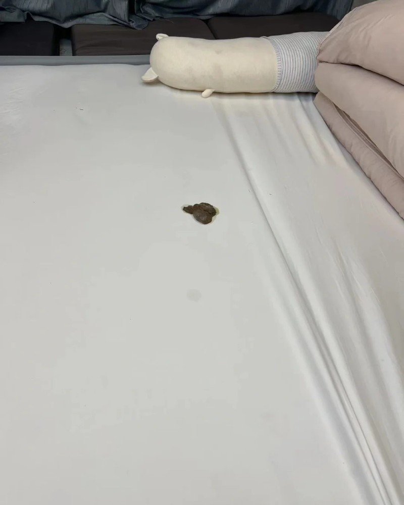 ảnh cục cứt 11