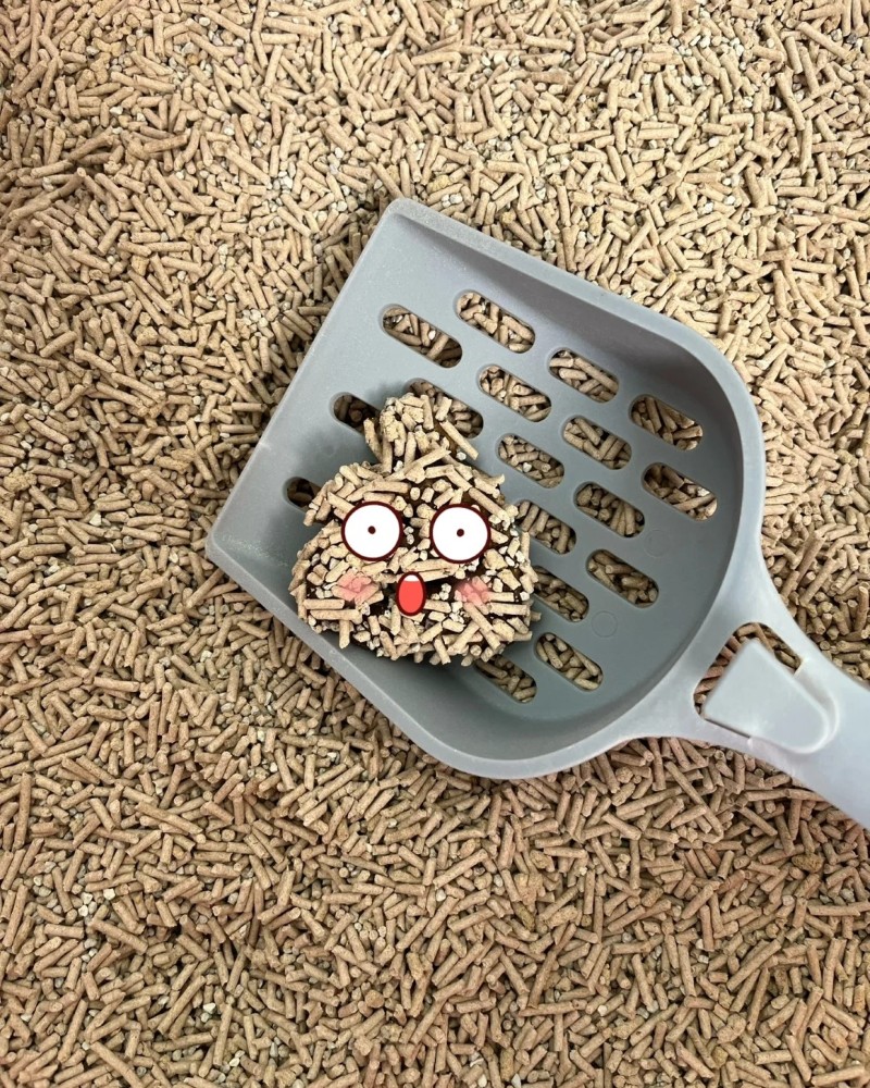 ảnh cục cứt 15