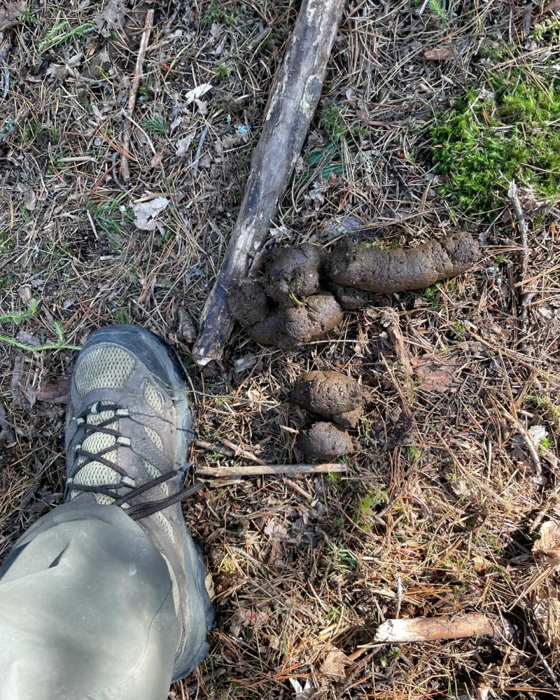 ảnh cục cứt 25