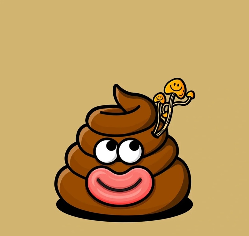 ảnh cục cứt 26