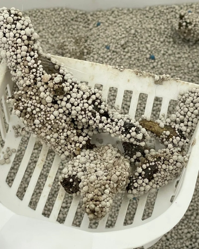 ảnh cục cứt 27