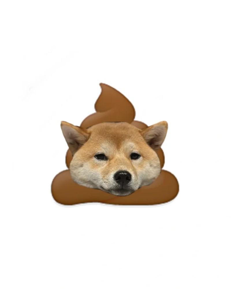 ảnh cục cứt 29