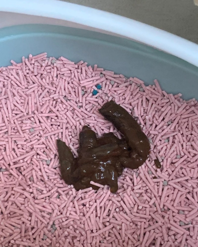 ảnh cục cứt 32