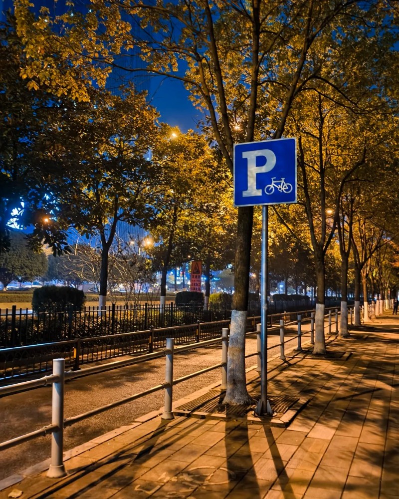 ảnh đường phố 11