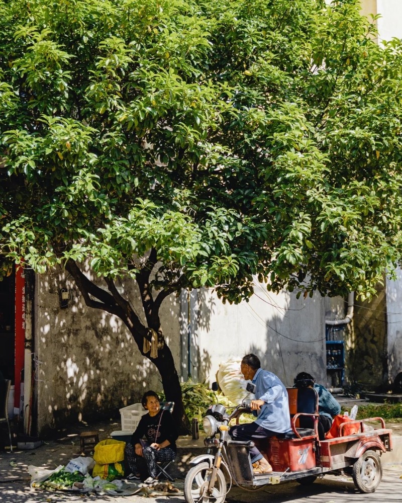 ảnh đường phố 18