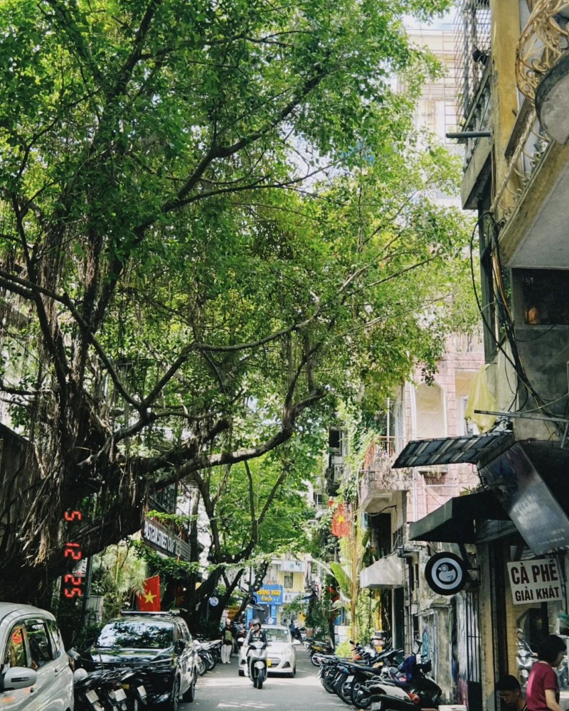 ảnh đường phố 35