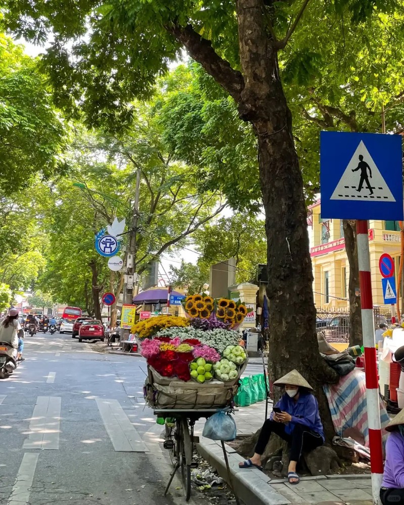 ảnh đường phố 36