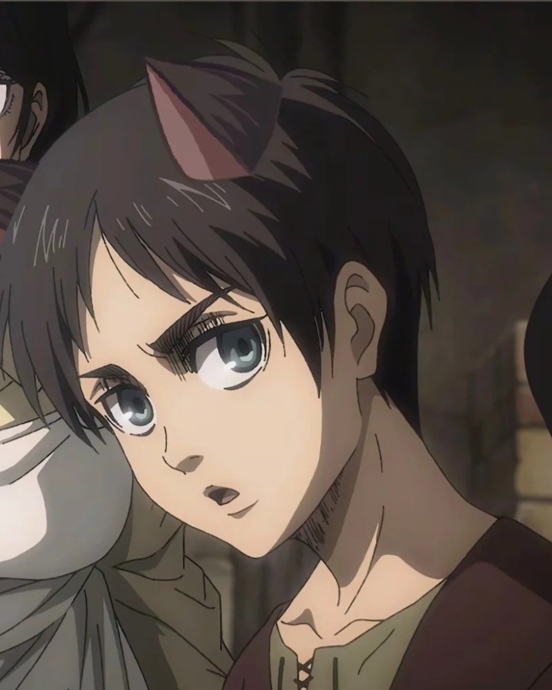 ảnh eren 11