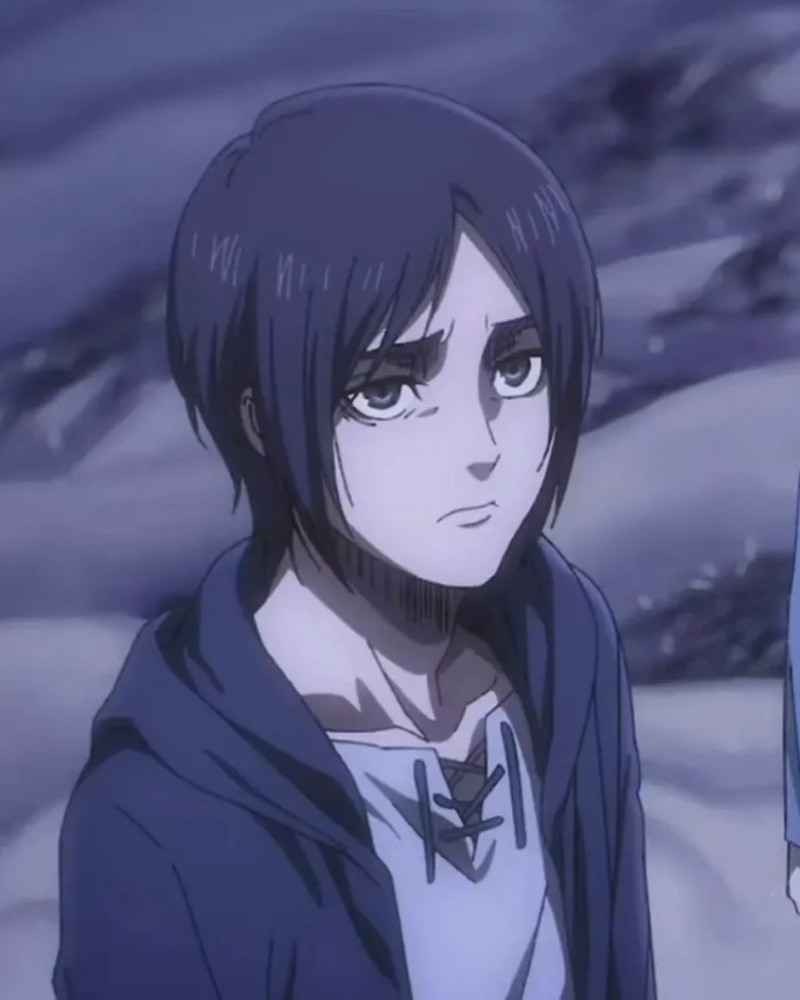 ảnh eren 22