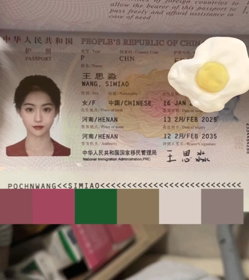ảnh hộ chiếu 20