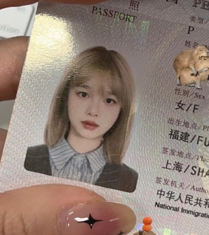 ảnh hộ chiếu 27