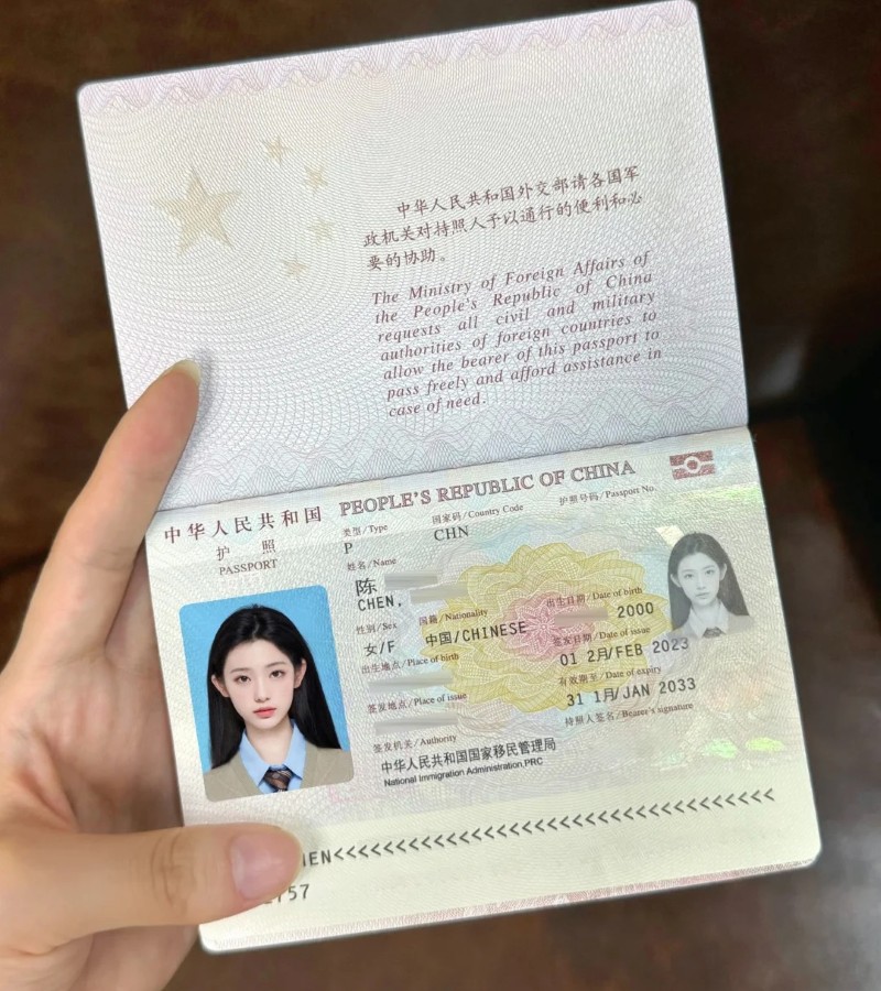 ảnh hộ chiếu hợp lệ 37