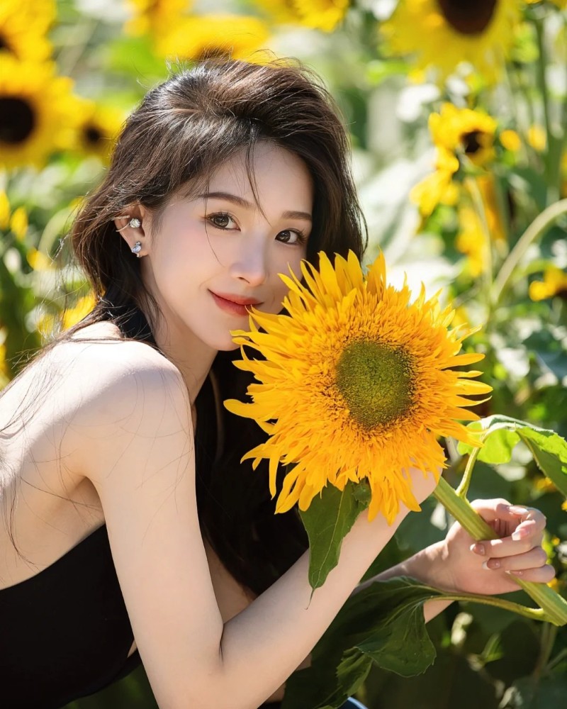 ảnh hoa hướng dương đẹp