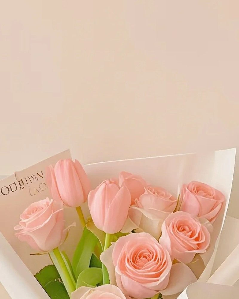ảnh hoa tulip 22