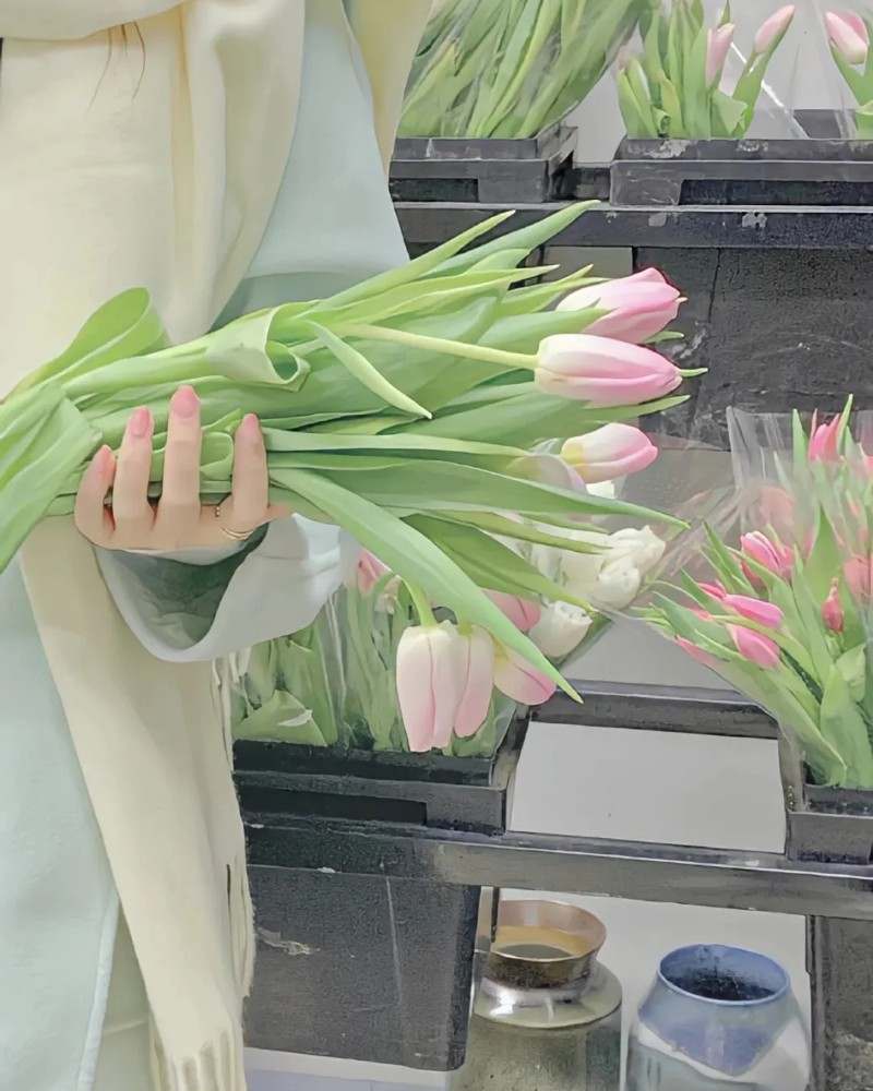 ảnh hoa tulip 25