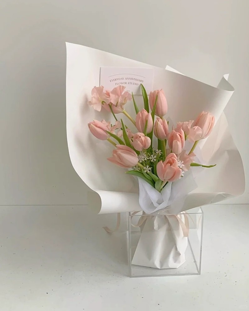 ảnh hoa tulip 26