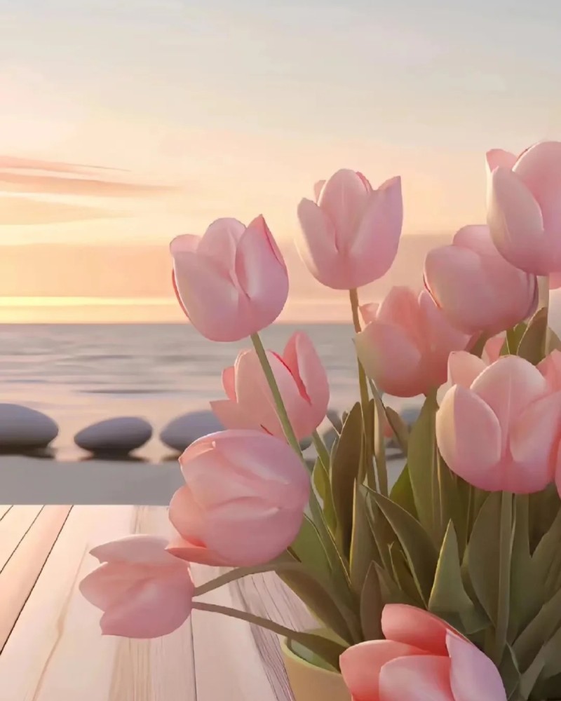 ảnh hoa tulip đẹp nhất thế giới