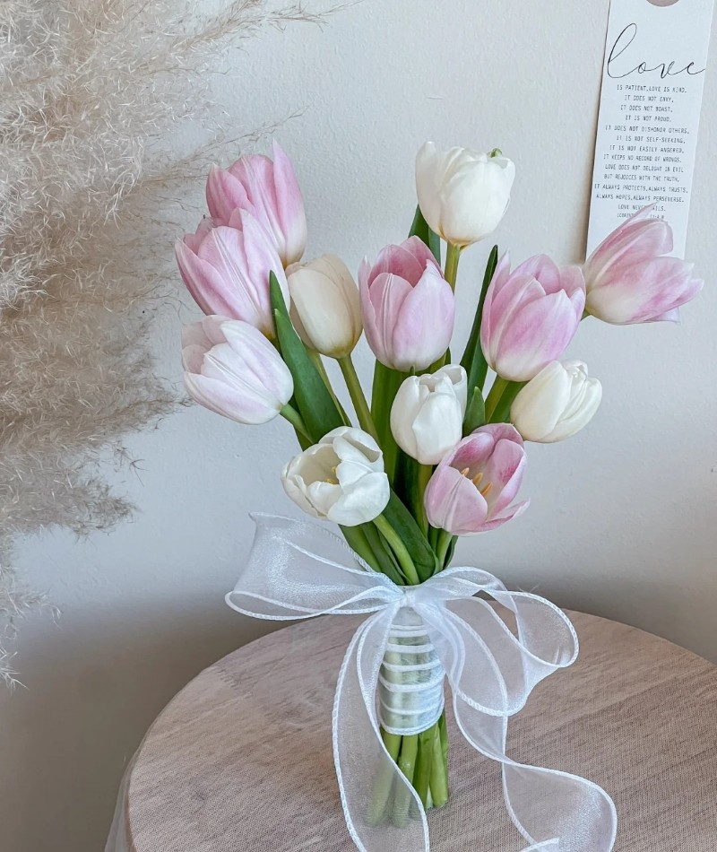 ảnh hoa tulip trắng 1