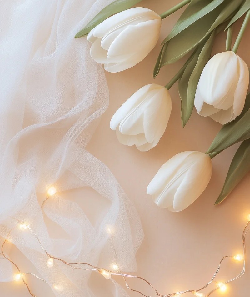 ảnh hoa tulip trắng 16