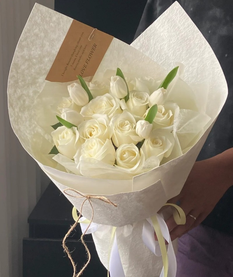 ảnh hoa tulip trắng 20