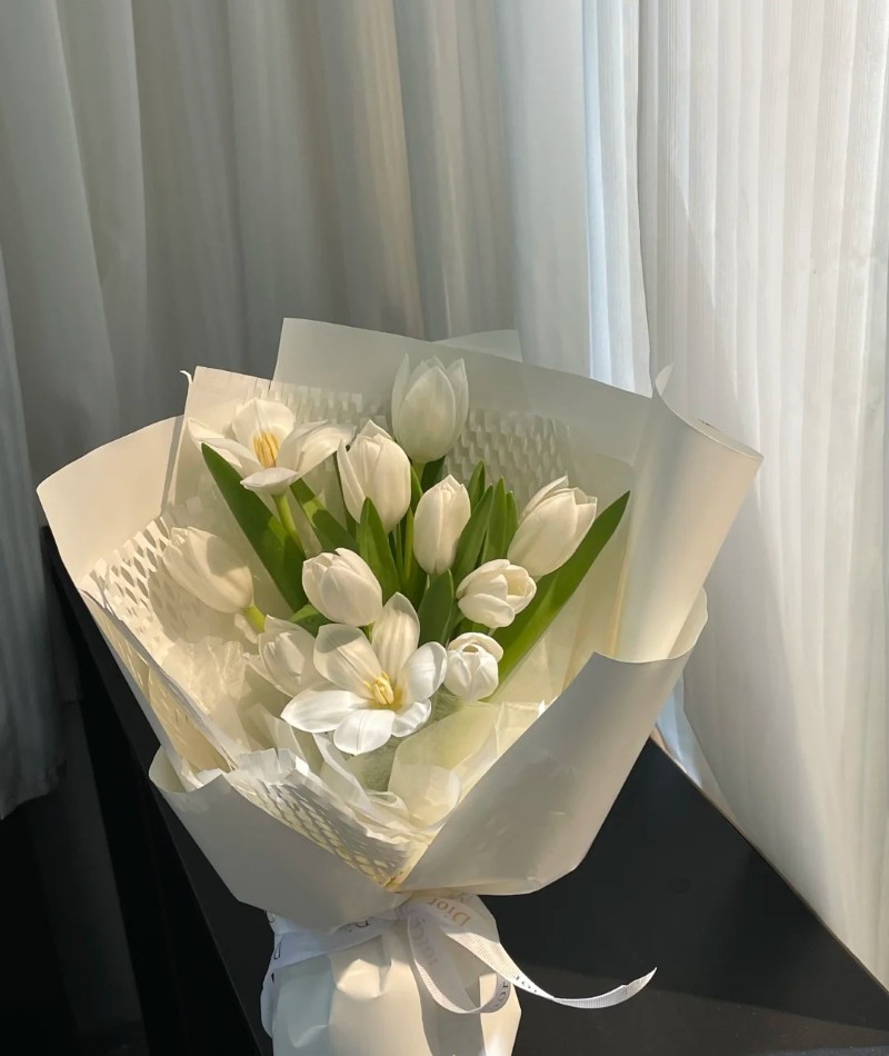 ảnh hoa tulip trắng 25