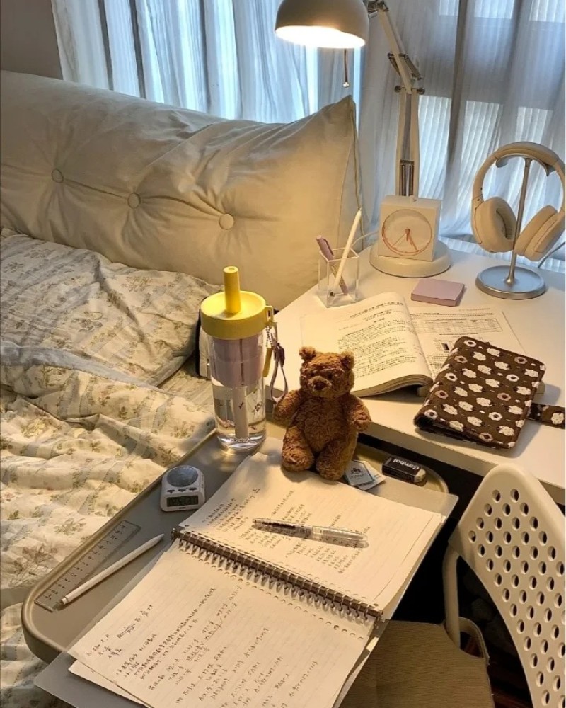 ảnh học tập 17