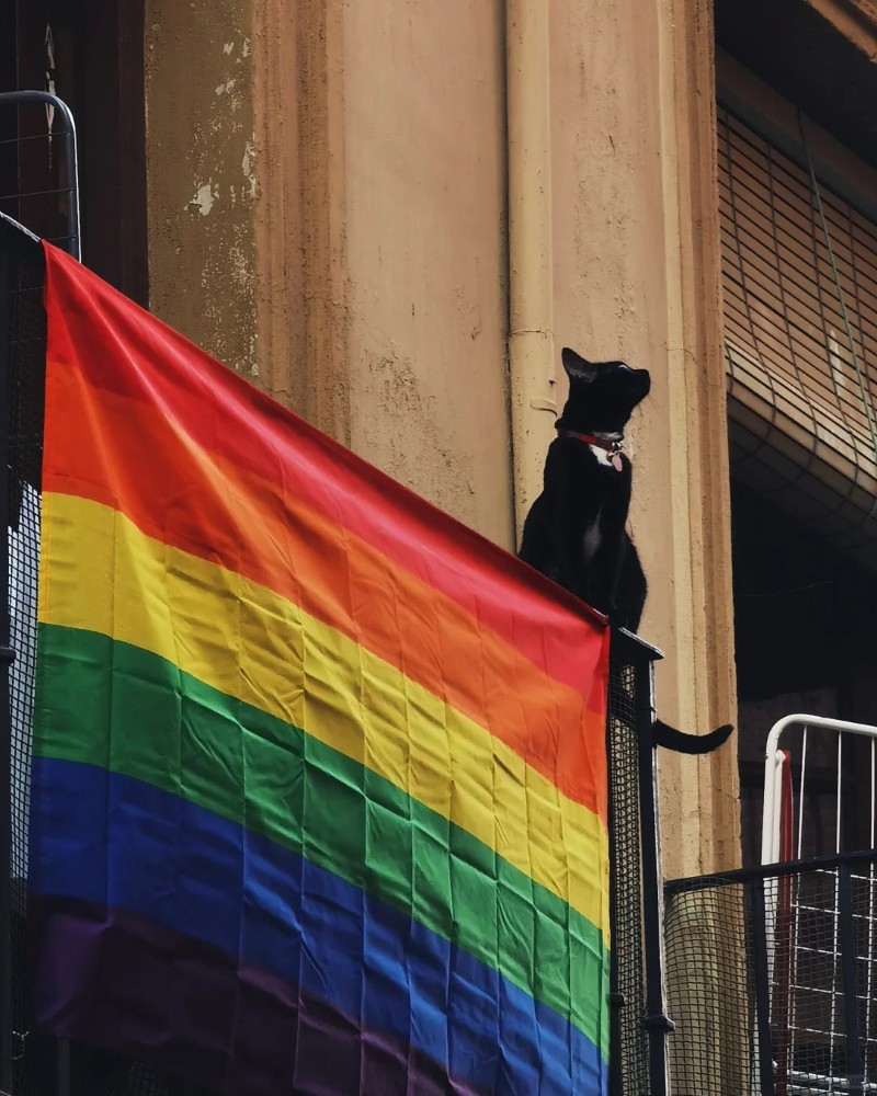ảnh lgbt 28