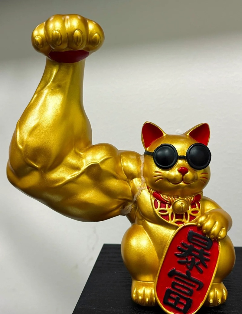 ảnh mèo thần tài 7