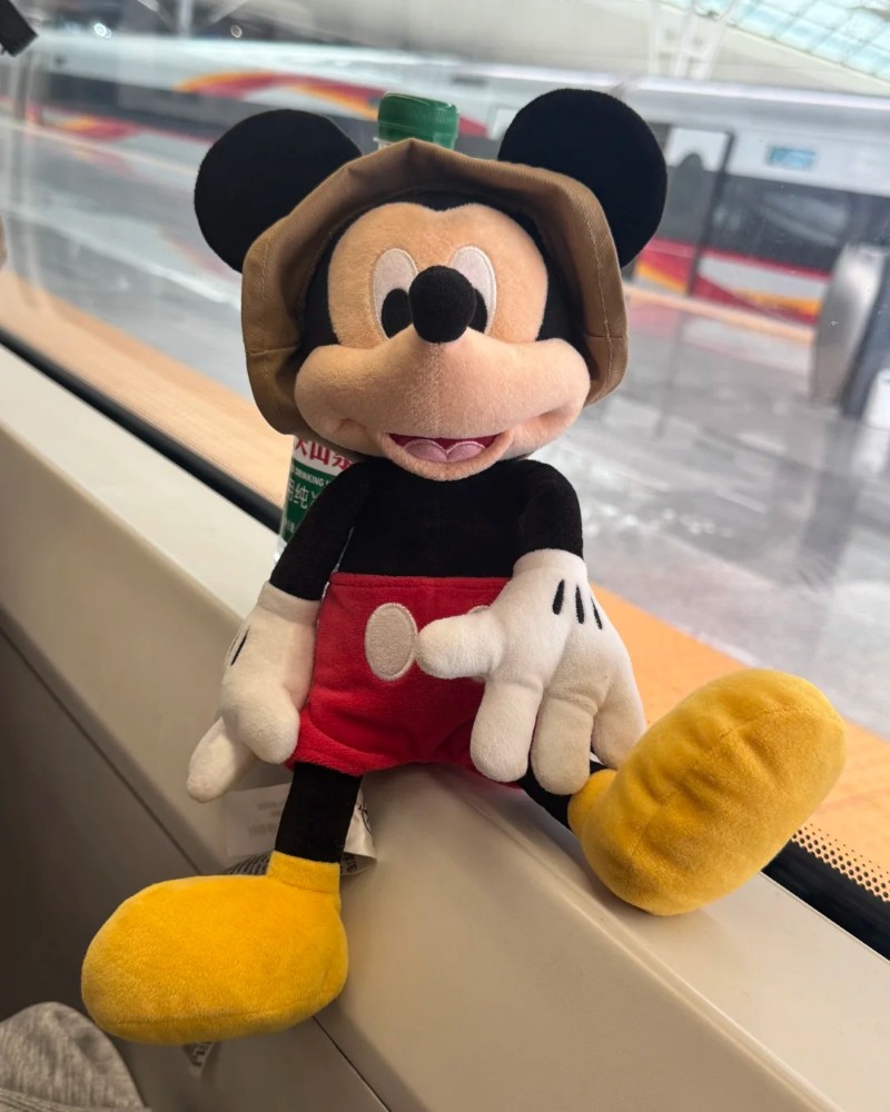 ảnh mickey 5