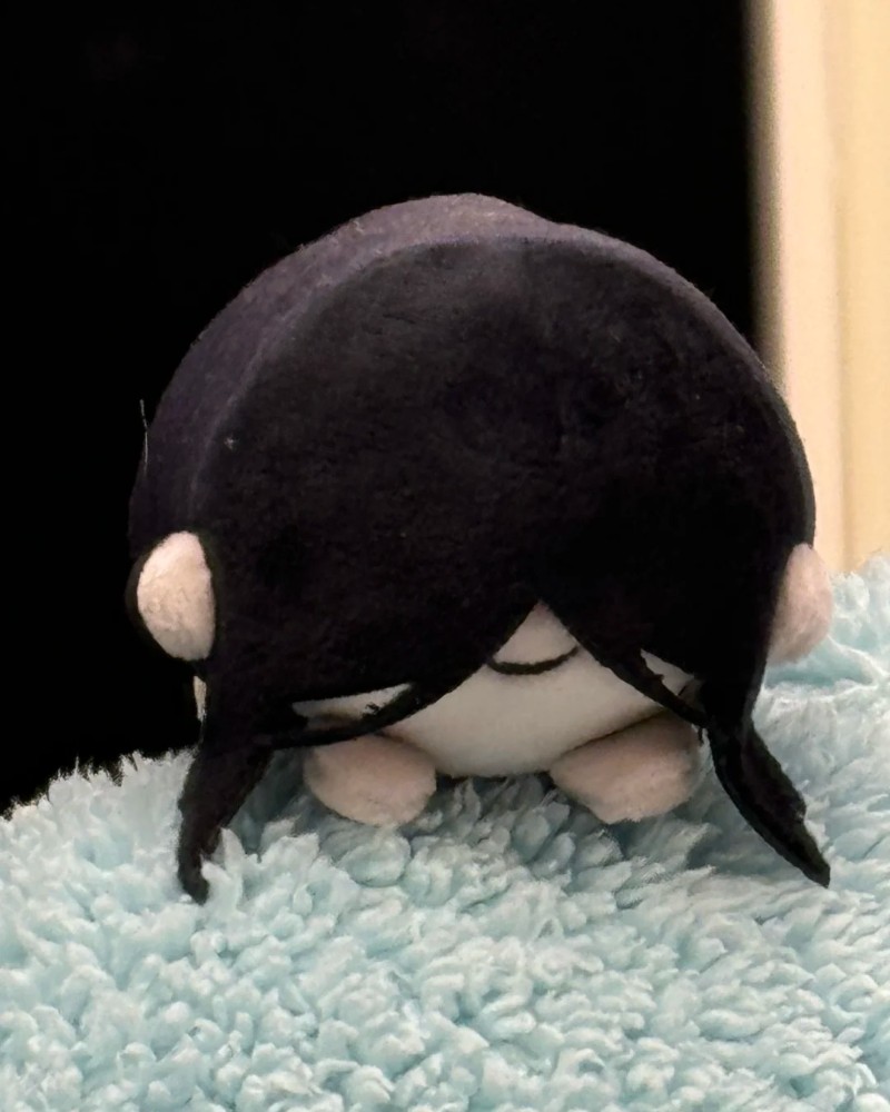 ảnh mr crawling 11