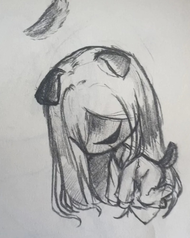 ảnh mr crawling 24